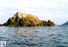 Felsen im Mündungsbereich des Río Sierpe