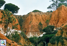 Felsen an der Praia da Falesia