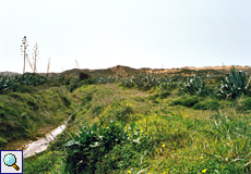 Die Gegend um Carrapateira