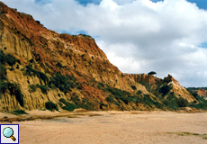 Felsküste mit niedrigem Bewuchs bei Olhos de Água