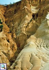 Erosionsspuren an der Felsküste bei Olhos de Água