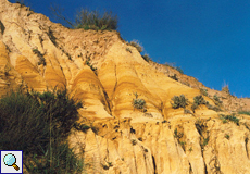 Felsküste zwischen Olhos de Água und Vilamoura