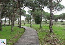 Wanderweg am Besucherzentrum El Acebuche