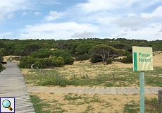 Naturpark am Dünenpfad Cuesta de Maneli