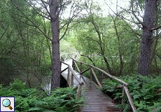 Der Wanderpfad am Besucherzentrum 'La Rocina'