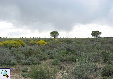 Regenwolken über der Landschaft am Besucherzentrum 'La Rocina'