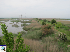 Blick auf die Wasserflächen des Poda-Naturschutzgebiets