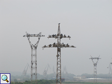 Kormoran-Brutkolonie im Poda-Naturschutzgebiet