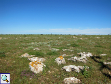 Mit Steinen durchsetzte Steppenlandschaft