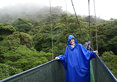 Regenschutz ist im Bergnebelwald sinnvoll