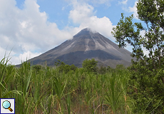 Die Westflanke des Arenal ist wegen der zahlreichen Eruptionen der vergangenen Jahre vegetationslos