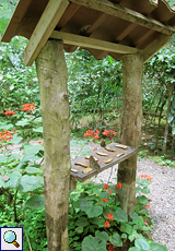 Futterstelle im Schmetterlingszuchtzentrum im Ecocentro Danaus
