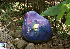 Bemalte Steine zieren die Wegränder
 im Ecocentro Danaus