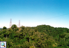 Die Pylonen des Sky Treks in Santa Elena ragen aus dem Wald
