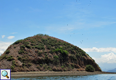 Kleine felsige Insel im Golf von Nicoya