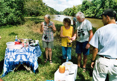 Picknick am Fluss