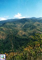 Blick auf die Pazifikseite des Bergnebelwaldes von Monteverde