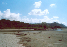 Am Strand von Playa Tortuga