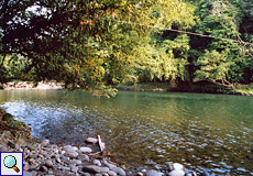 Steiniger Uferabschnitt des Río Sarapiquí