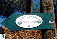 Ein Hinweisschild zeigte den Weg zum einstigen Umweltzentrum