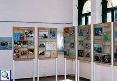 Der Ausstellungsraum des einstige Umweltzentrums