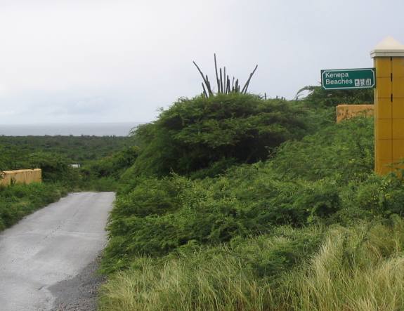 Landschaft auf Cura&ccedil;ao