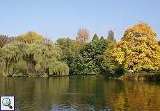 Herbstlaub im Düsseldorfer Zoopark