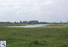 Graben im Naturschutzgebiet Bislicher Insel