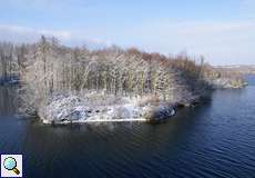 Winterlandschaft am Elbsee