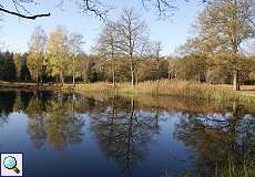 Tümpel und Feuchtwiese im Herbst im Elmpter Schwalmbruch