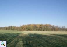 Offene Landschaft und Wald im Elmpter Schwalmbruch