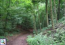 Wolfsschlucht im Grafenberger Wald