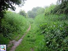 Regennasser Weg im Naturschutzgebiet