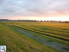 Es wird Abend im Naturschutzgebiet Himmelgeister Rheinbogen