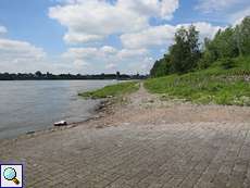 Rhein am Ende des Kölner Wegs