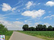 Weg im südlichen Teil des Himmelgeister Rheinbogens