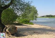 Strand am Himmelgeister Rheinbogen