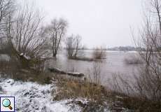 Winterhochwasser am Himmelgeister Rheinbogen