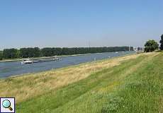 Der Rhein im Stadtteil Düsseldorf Hafen