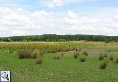 Offene Landschaft im Naturschutzgebiet Lüsekamp