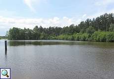 See im Naturschutzgebiet Lüsekamp