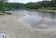 Gewässer mit Seerosen im Naturschutzgebiet Lüsekamp