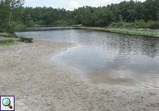 Gewässer mit Seerosen im Naturschutzgebiet Lüsekamp