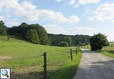 Pferdeweide im NSG Pillebachtal