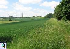 Landwirtschaftlich genutzter Bereich des Rotthäuser Bachtals