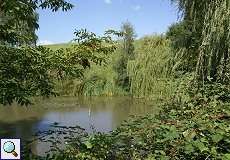 Teich im NSG Rotthäuser Bachtal Teich im NSG Rotthäuser Bachtal