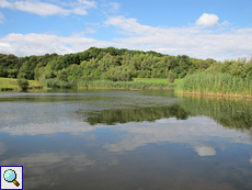 See im Derwent Walk Country Park