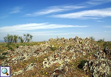 Landschaft 'La Serena'