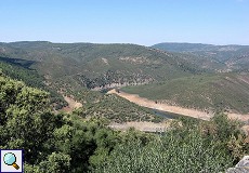 Flussläufe im Monfragüe-Nationalpark