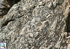 Suchbild: Zwei Bluthänflinge auf den Felsen